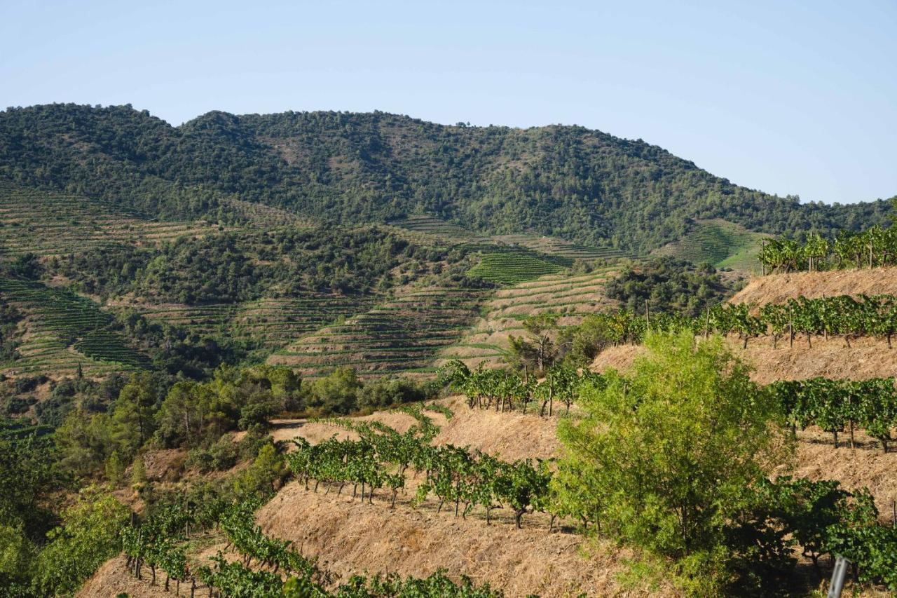 Ora Hotel Priorat, A Member Of Design Hotels Torroja المظهر الخارجي الصورة